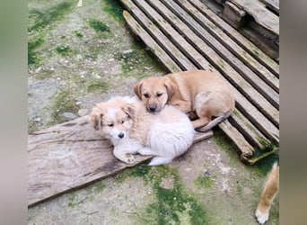 ELORA - Traumzuhause gesucht