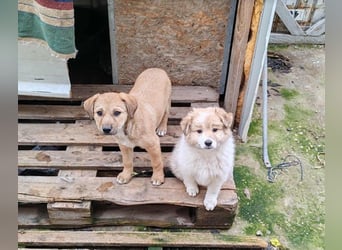 ELORA - Traumzuhause gesucht