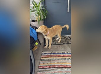 CRUMPET - verspielte Schönheit