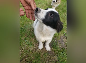 YURA - wo findet er sein Glück?
