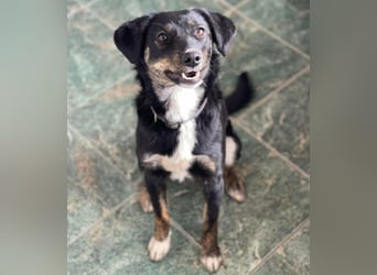 DORIS - Traumzuhause gesucht