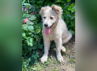 BETTY - wo findet sie ihr Glück?