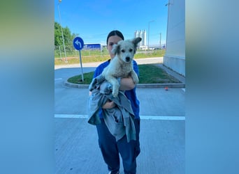 BETTY - wo findet sie ihr Glück?