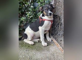 MELODY - Traumzuhause gesucht