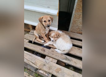 ELORA - Traumzuhause gesucht