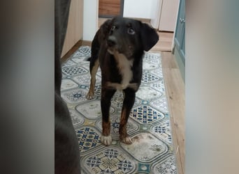 DORIS - Traumzuhause gesucht