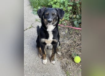 DORIS - Traumzuhause gesucht