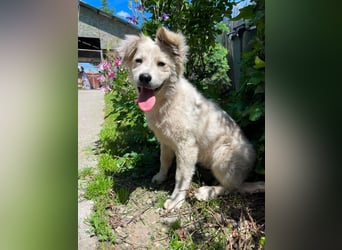 BETTY - wo findet sie ihr Glück?