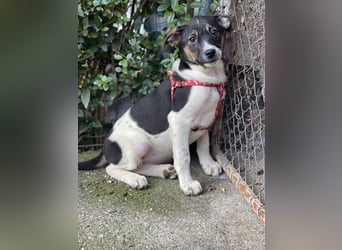 MELODY - Traumzuhause gesucht