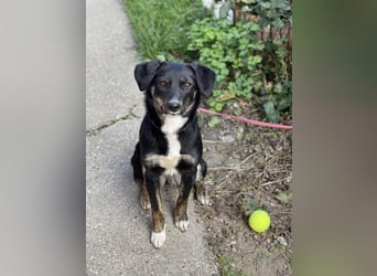 DORIS - Traumzuhause gesucht