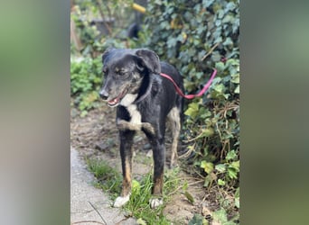 DORIS - Traumzuhause gesucht