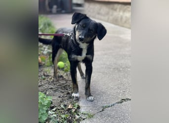 DORIS - Traumzuhause gesucht