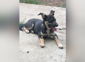 MAYA - freundliches Mädchen