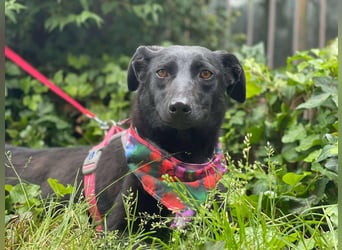 MYLA - schüchternes Mädchen sucht ihre Menschen