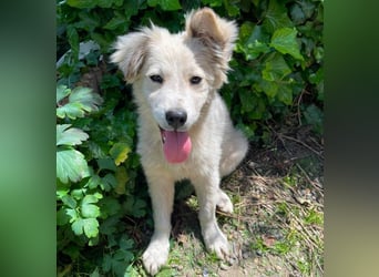 BETTY - wo findet sie ihr Glück?