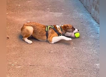 KOA - Traumzuhause gesucht