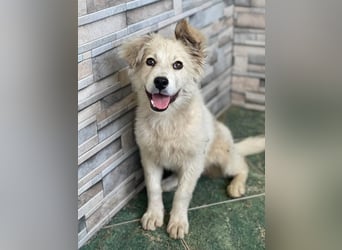 BETTY - wo findet sie ihr Glück?