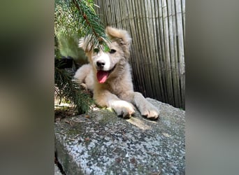 BETTY - wo findet sie ihr Glück?
