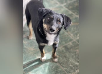 DORIS - Traumzuhause gesucht