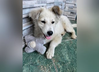 BETTY - wo findet sie ihr Glück?