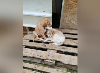 ELORA - Traumzuhause gesucht