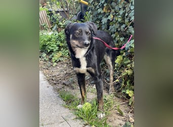 DORIS - Traumzuhause gesucht