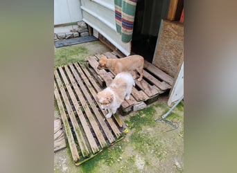 ELORA - Traumzuhause gesucht