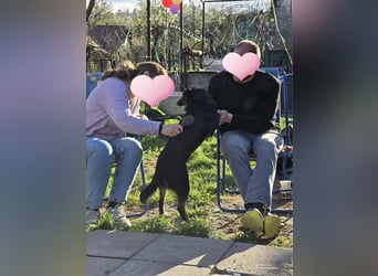 DORIS - Traumzuhause gesucht