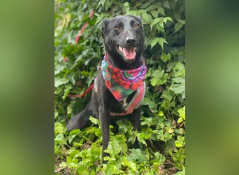 MYLA - schüchternes Mädchen sucht ihre Menschen