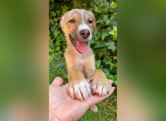 SWEETY - freundliches Mädchen