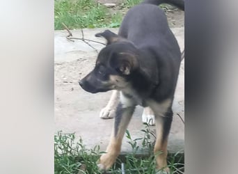 MAYA - freundliches Mädchen