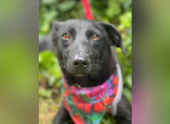 MYLA - schüchternes Mädchen sucht ihre Menschen