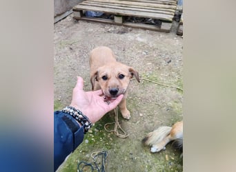 ELORA - Traumzuhause gesucht