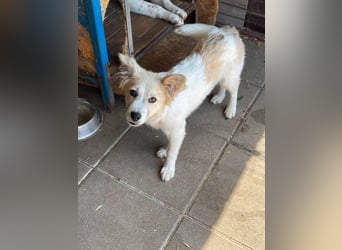 BETTY - wo findet sie ihr Glück? *reserviert*