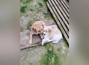 ELORA - Traumzuhause gesucht