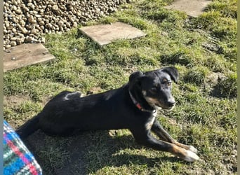 DORIS - Traumzuhause gesucht