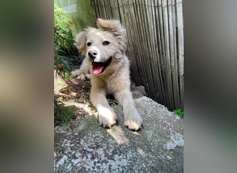 BETTY - wo findet sie ihr Glück?
