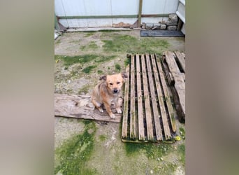 ELORA - Traumzuhause gesucht