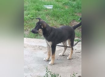 MAYA - freundliches Mädchen