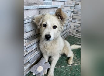 BETTY - wo findet sie ihr Glück?