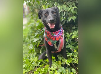 MYLA - schüchternes Mädchen sucht ihre Menschen