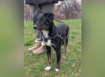 DORIS - Traumzuhause gesucht