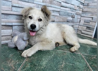 BETTY - wo findet sie ihr Glück?