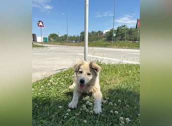 BETTY - wo findet sie ihr Glück?