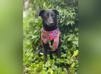 MYLA - schüchternes Mädchen sucht ihre Menschen