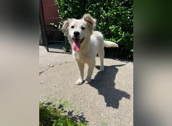 BETTY - wo findet sie ihr Glück?