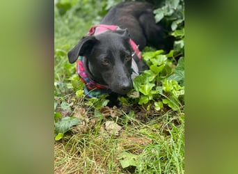 MYLA - schüchternes Mädchen sucht ihre Menschen