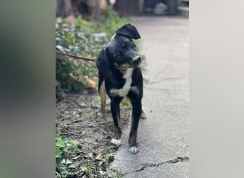 DORIS - Traumzuhause gesucht