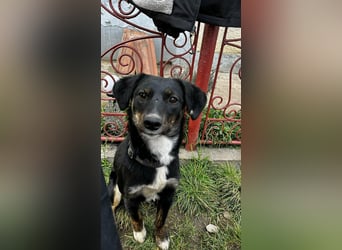 DORIS - Traumzuhause gesucht