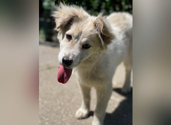BETTY - wo findet sie ihr Glück?